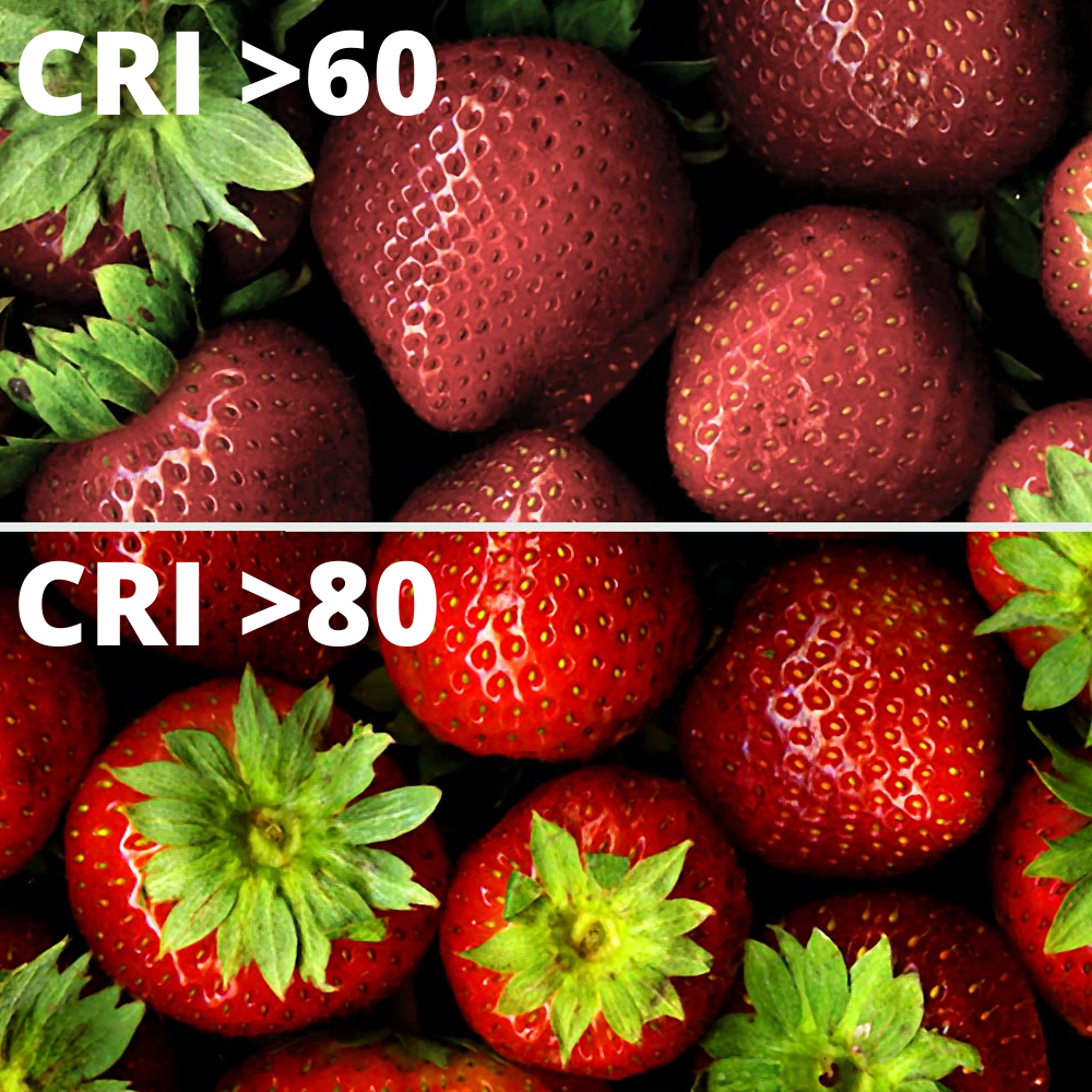 Plafonnier LED Rond Extra Plat 3W 150lm (24W) ⌀88mm - Blanc du Jour 6000K - 5