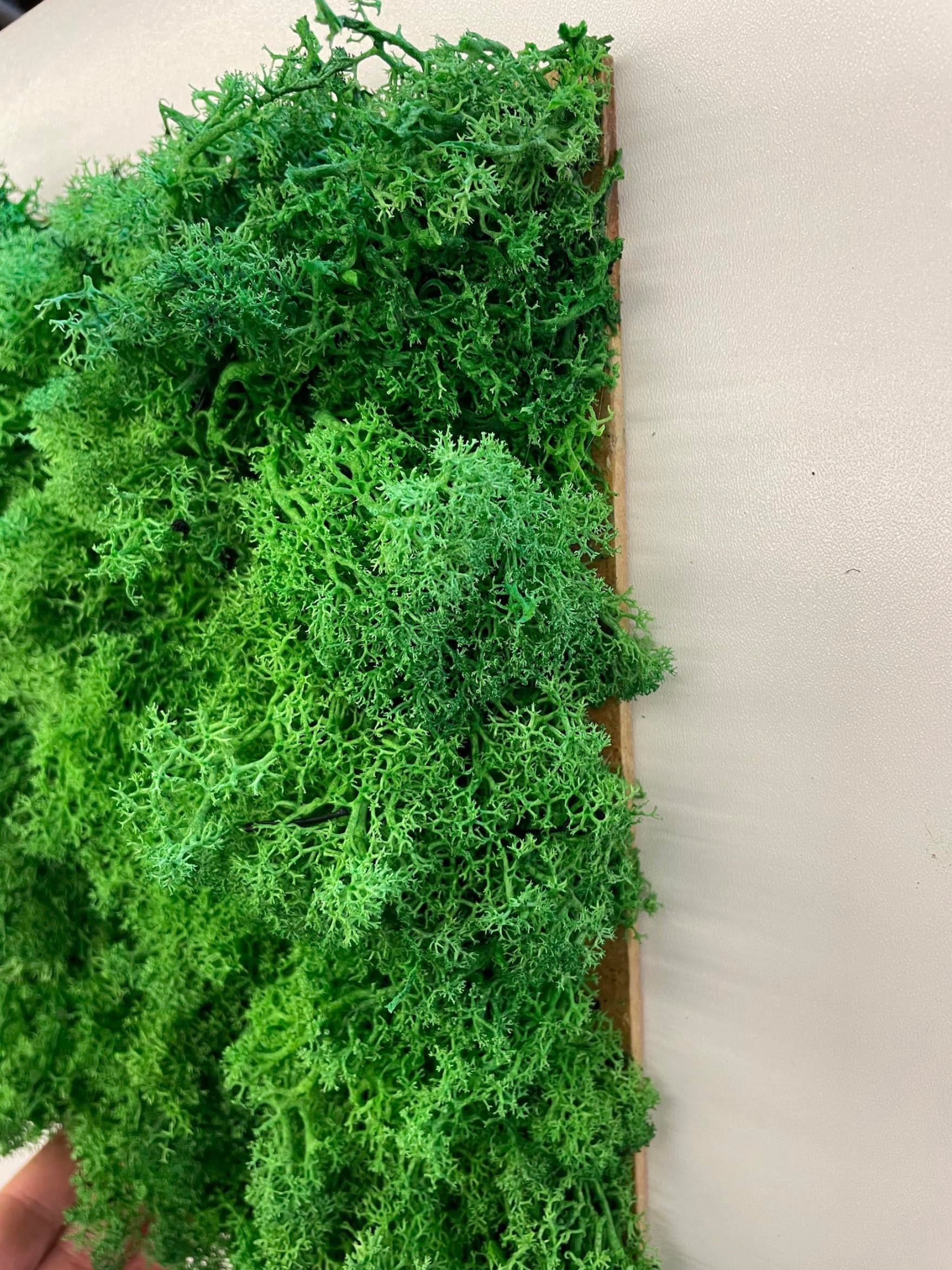 Muschio Islandese Artificiale Verde Chiaro 100g - Per Decorazioni Fai Da Te, Giardino, Pareti E Composizioni Primaverili - 3