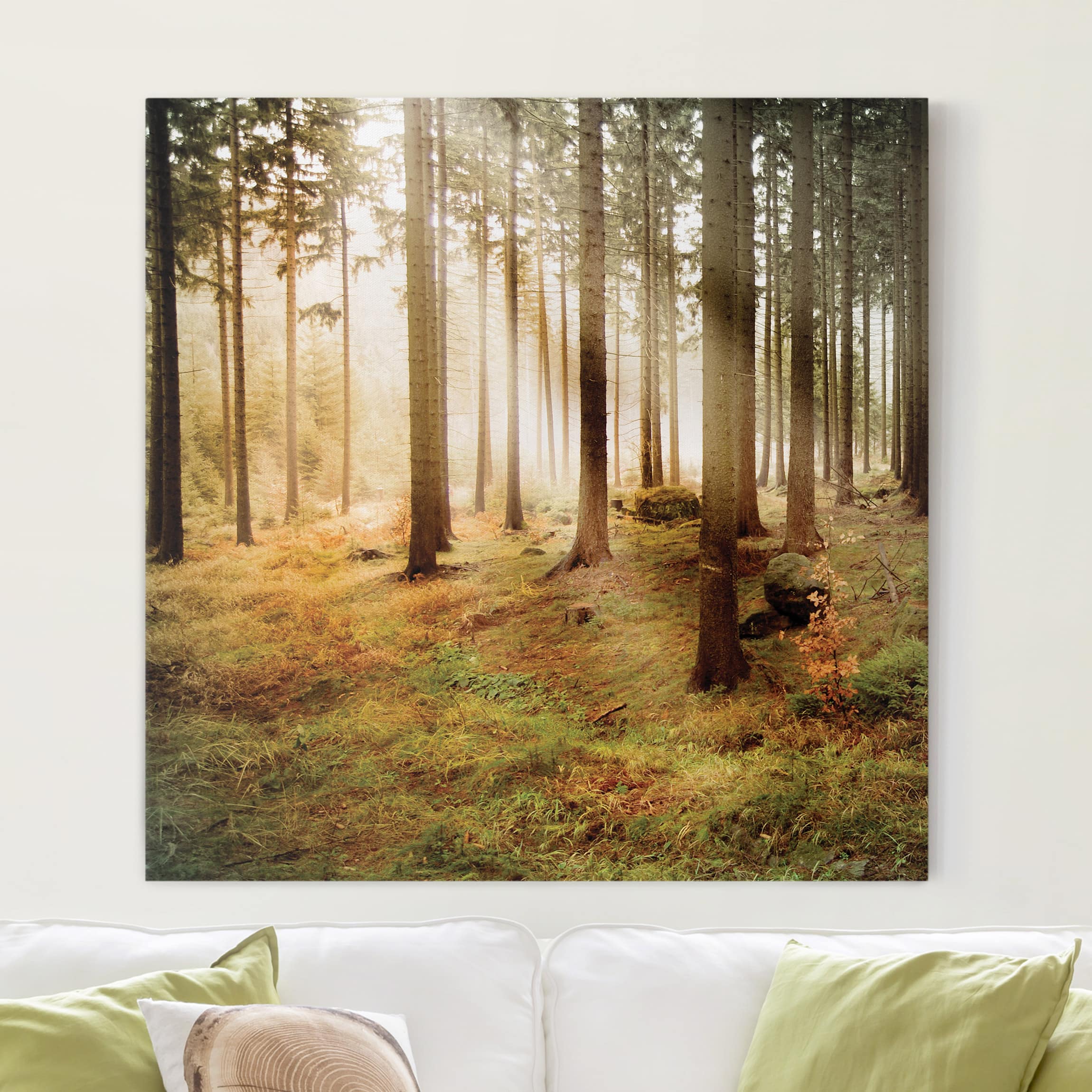 Lienzo cuadro en lienzo bastidor impresion en lienzo verde botánica árboles bosque 155 cuarto de baño dormitorio salón pasillo 30 x 30 cm