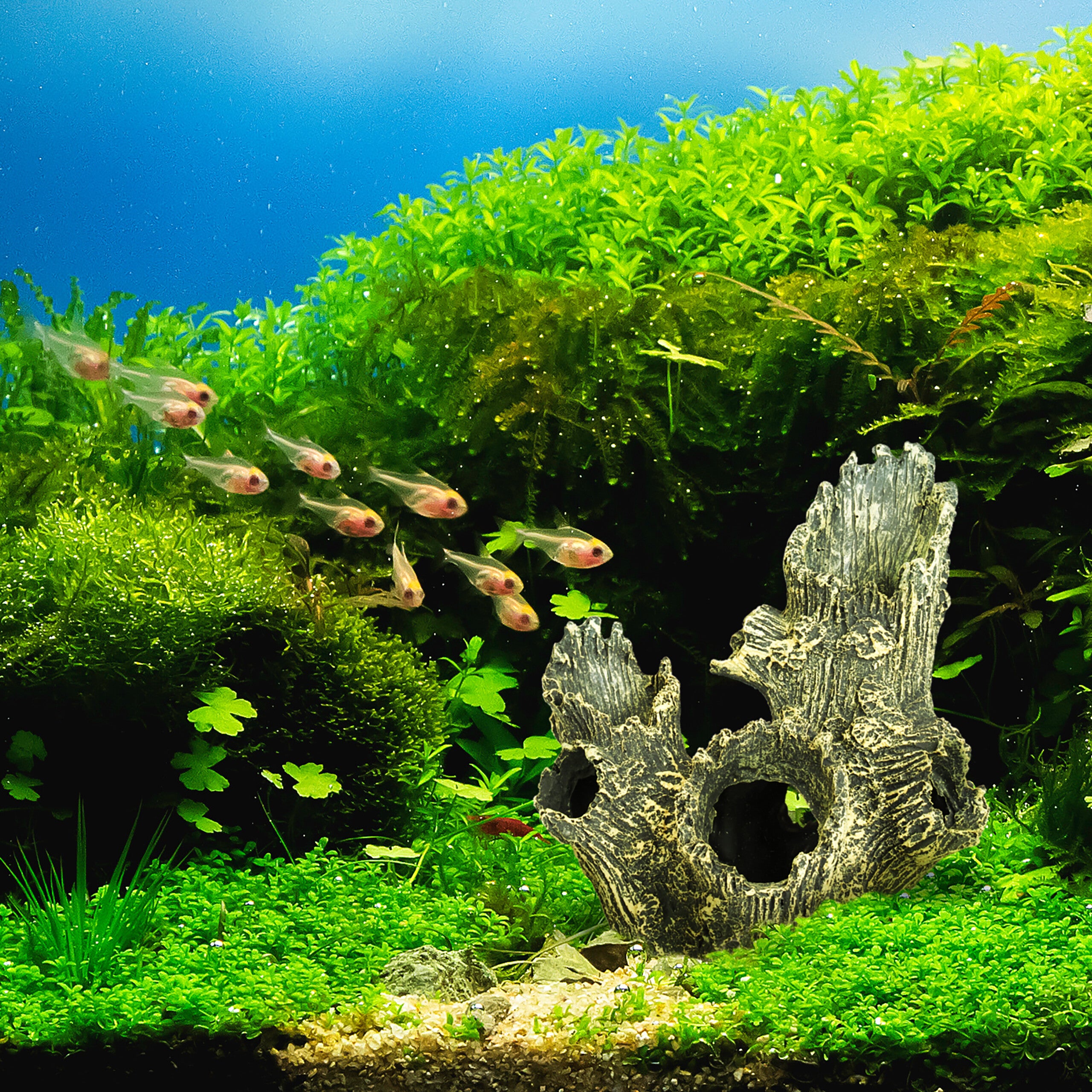 Aquarium Tronc d'arbre DéCoration,RéSine pour DéCoration Fish Tank