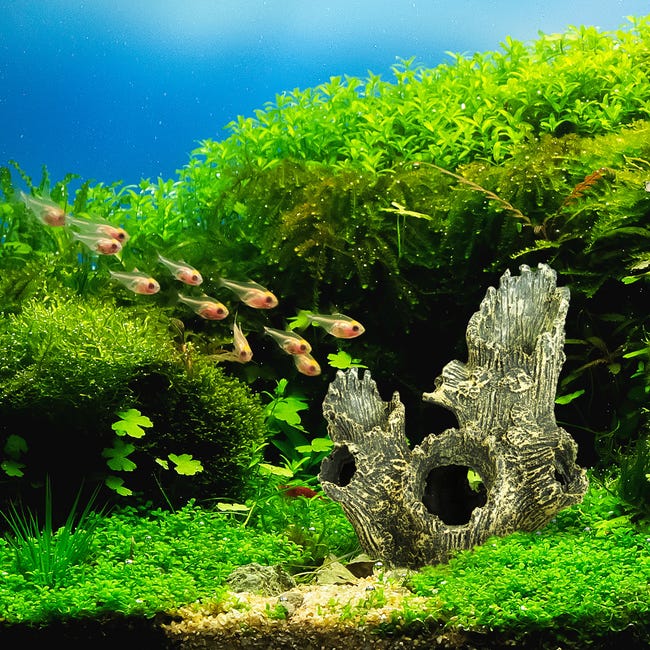 Aquarium Tronc d'arbre DéCoration,RéSine pour DéCoration Fish Tank Aquarium Tronc d'arbre DéCoration,RéSine pour DéCoration Fish Tank