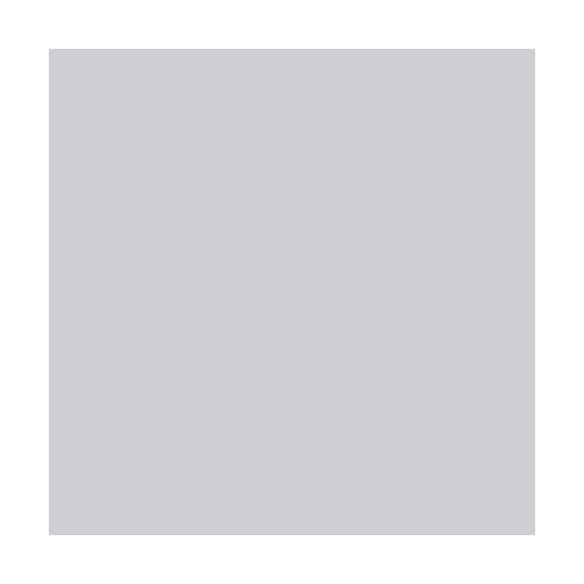 Peinture antidérapante pour sol extérieur - SOLTHANE RD Telegris 4 - RAL 7047 - 6 kg - ARCANE INDUSTRIES - 2