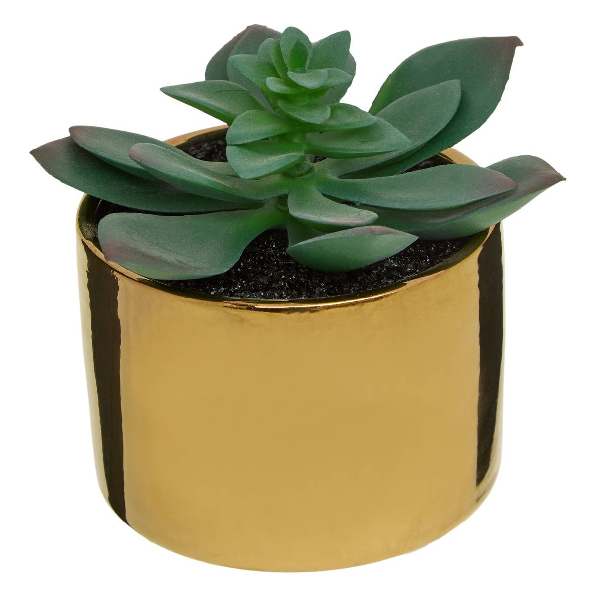 Plante Verte Pot Céramique H.15 Multicolore - Atmosphera Créateur d'intérieur - 2