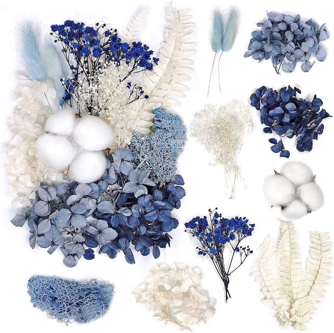 Bouquet Fleurs Séchées Naturelles - Décoration Fleur Séchée Vrac Bleu Noir - Bouquet Déco