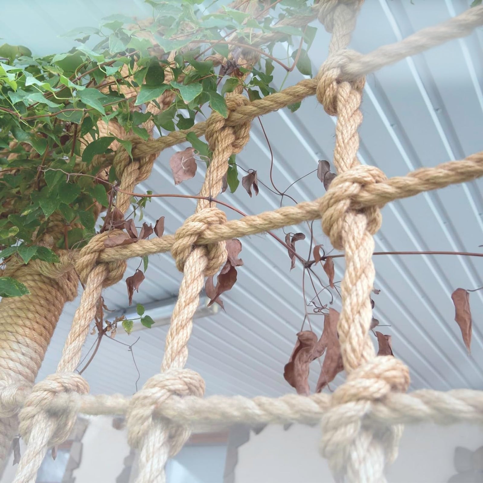 Corde en Jute Torsadée Arnold, Diamètre 10 mm, 5 Mètres - 6