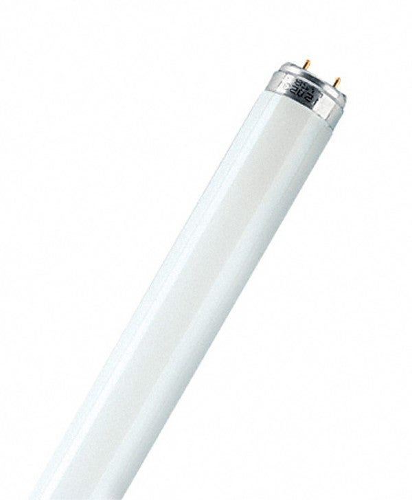 Tubo fluorescente trifosforo short t8 g13 - 2