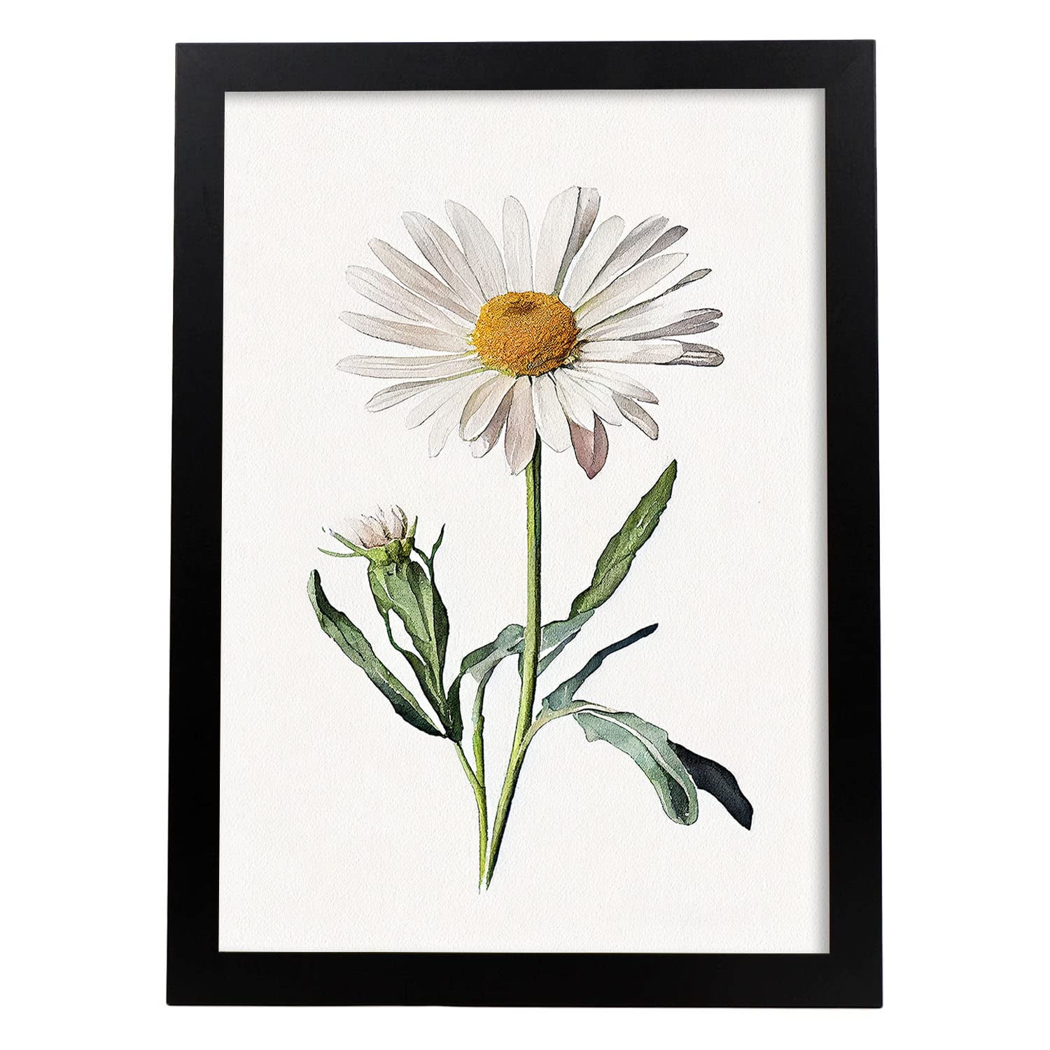 Nacnic poster de margarita estilo nórdico ilustraciones de botánica con flores y plantas en acuarela diseño moderno y modelo 3 a3 con marco negro