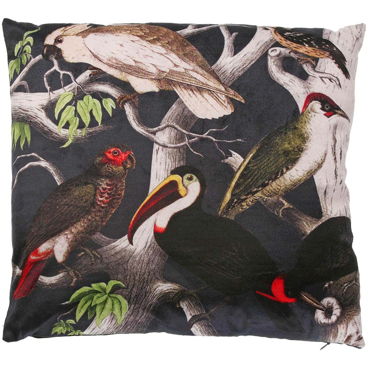 Torchon Métis Imprimé Coucke Oiseaux 50x75 Cm - Absorbant Et Durable