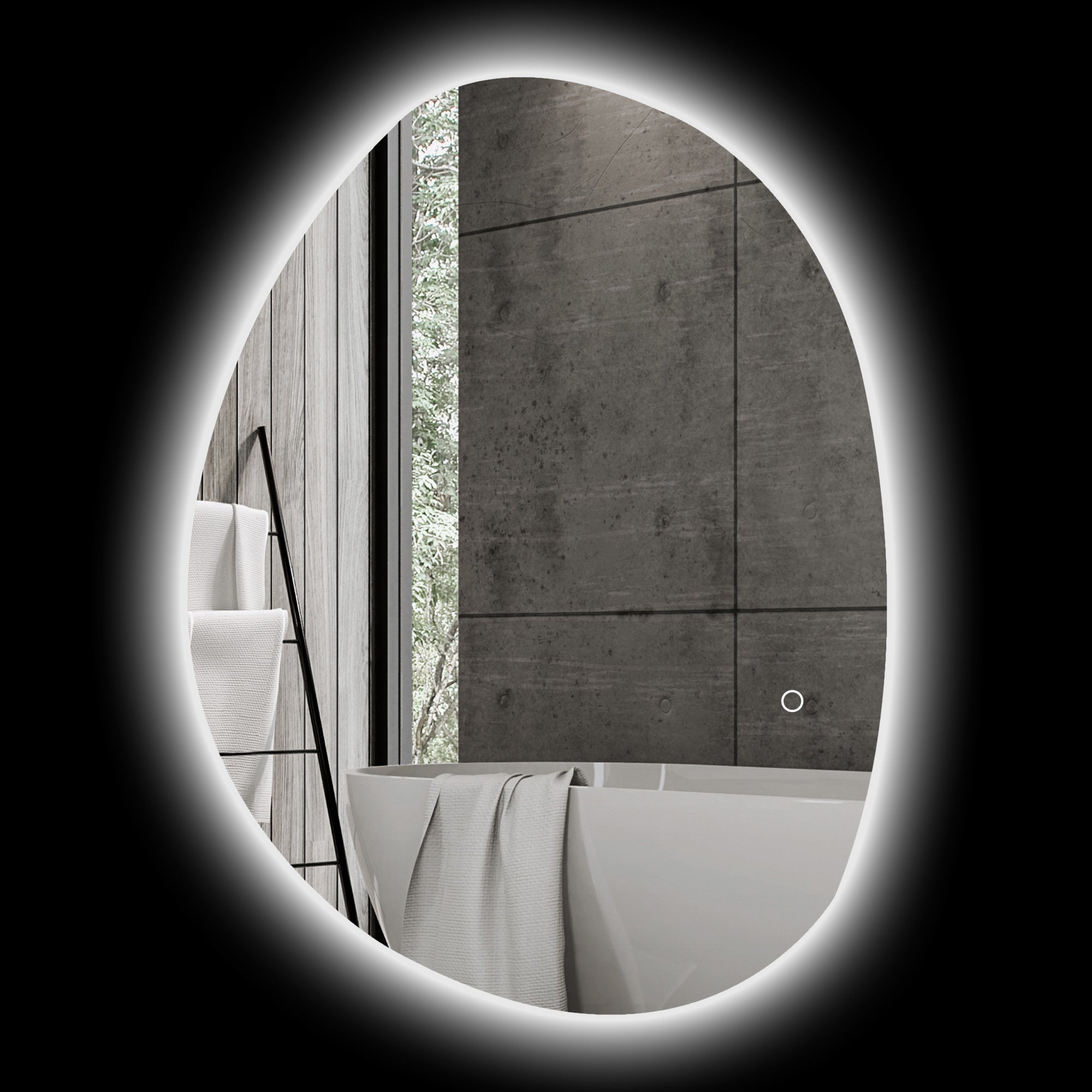 Specchio LED HOMCOM 80x50 Cm, Ovale Con Luce Anteriore E Posteriore, Antibuio, 3 Temperature Di Colore E Dimmer, Telecomando A Tocco Con Memoria, Vetro Temperato, IP44, Montaggio A Parete