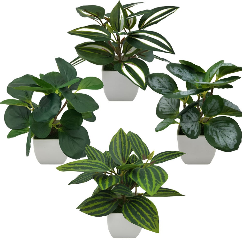 Mini Plantas En Maceta Para Casa De Muñecas – Set De 14 Piezas 1:12 De Bonsái Y Vegetación Falsa – Decoración Súper Realista Para Dioramas Y Estanterías