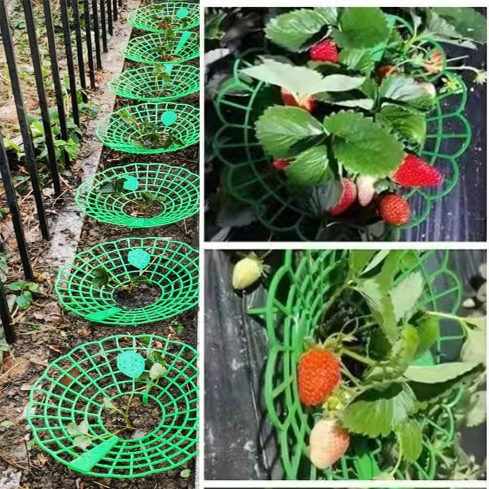 Conjunto de peças verde suporte para morangos suporte para morangueiros pequenos morangos maduros suporte para plantas em rede de morangos varanda p - 3