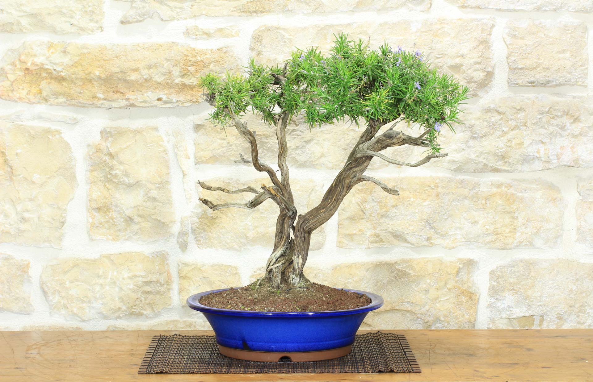 rollo bambus SmartWings Raffrollos aus Bambus & Holz 70% Verdunkelung Orithyia   SmartWings DE
