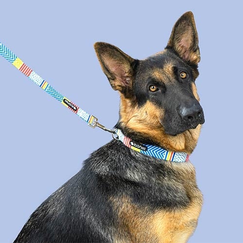 Correas Fantasy Geo y Plumas CORREA FANTASY GEO 2 X 120 CM - 3