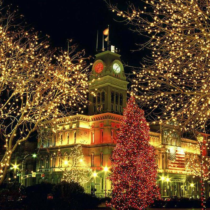 LEMROE 50M 500 guirlandes lumineuses à LED blanc chaud 8 modes de lumière jardin de fête décoration intérieure extérieure lumières de Noël Blanc chaud - 5