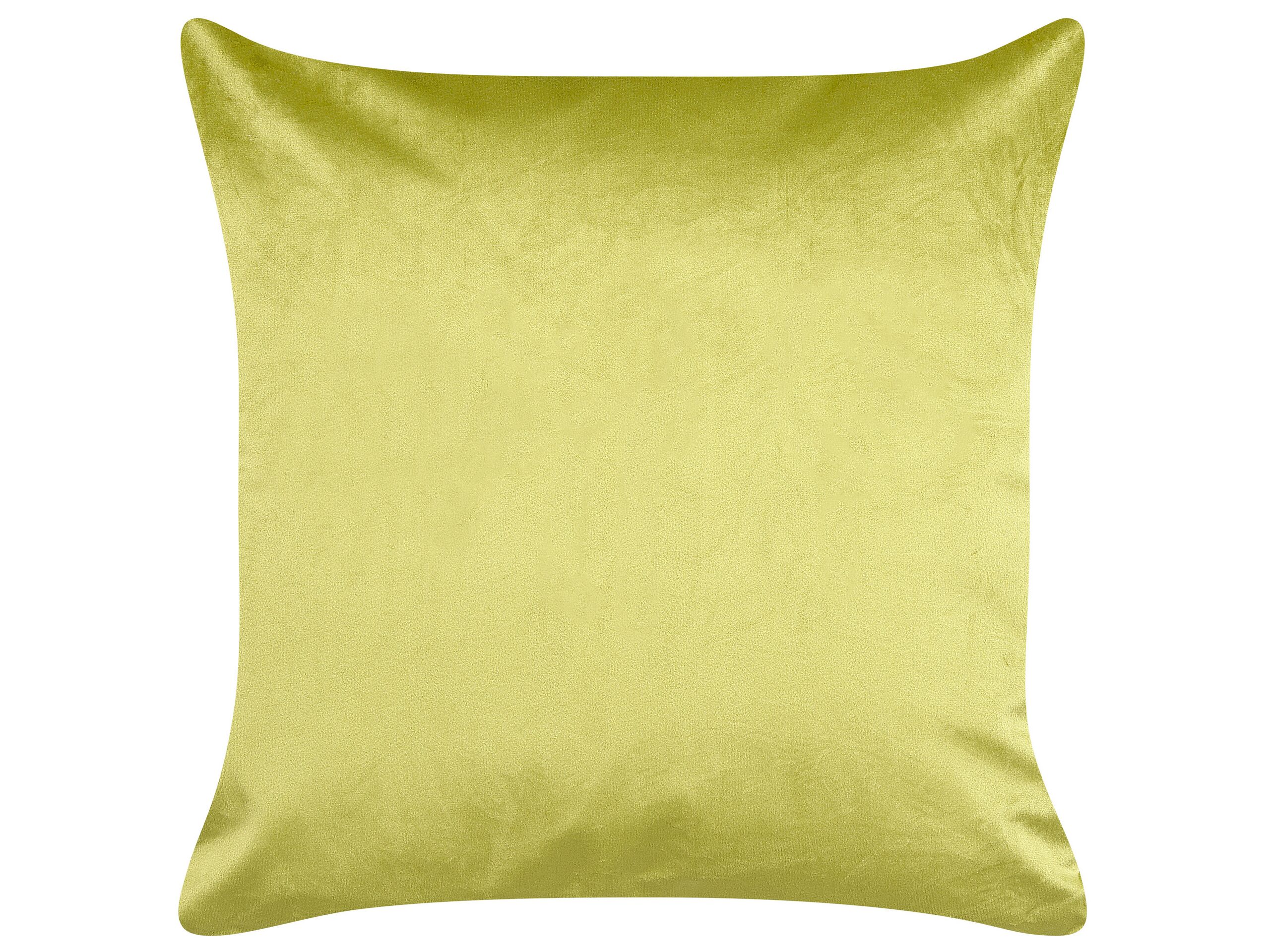 Set di 2 cuscini DELICIOSA Velluto 45 x 45 cm Verde chiaro Trama di piante - 4
