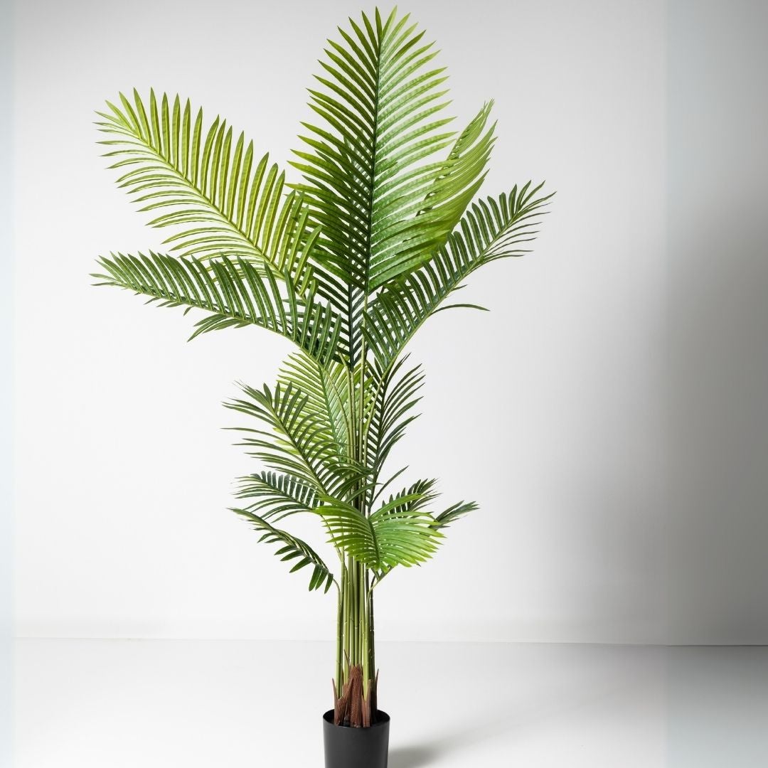 Planta Artificial Palmera Areca 180cm. Gran Realismo Sin Mantenimiento con Maceta para Decoración Interior Salón Hogar y Oficina - 2