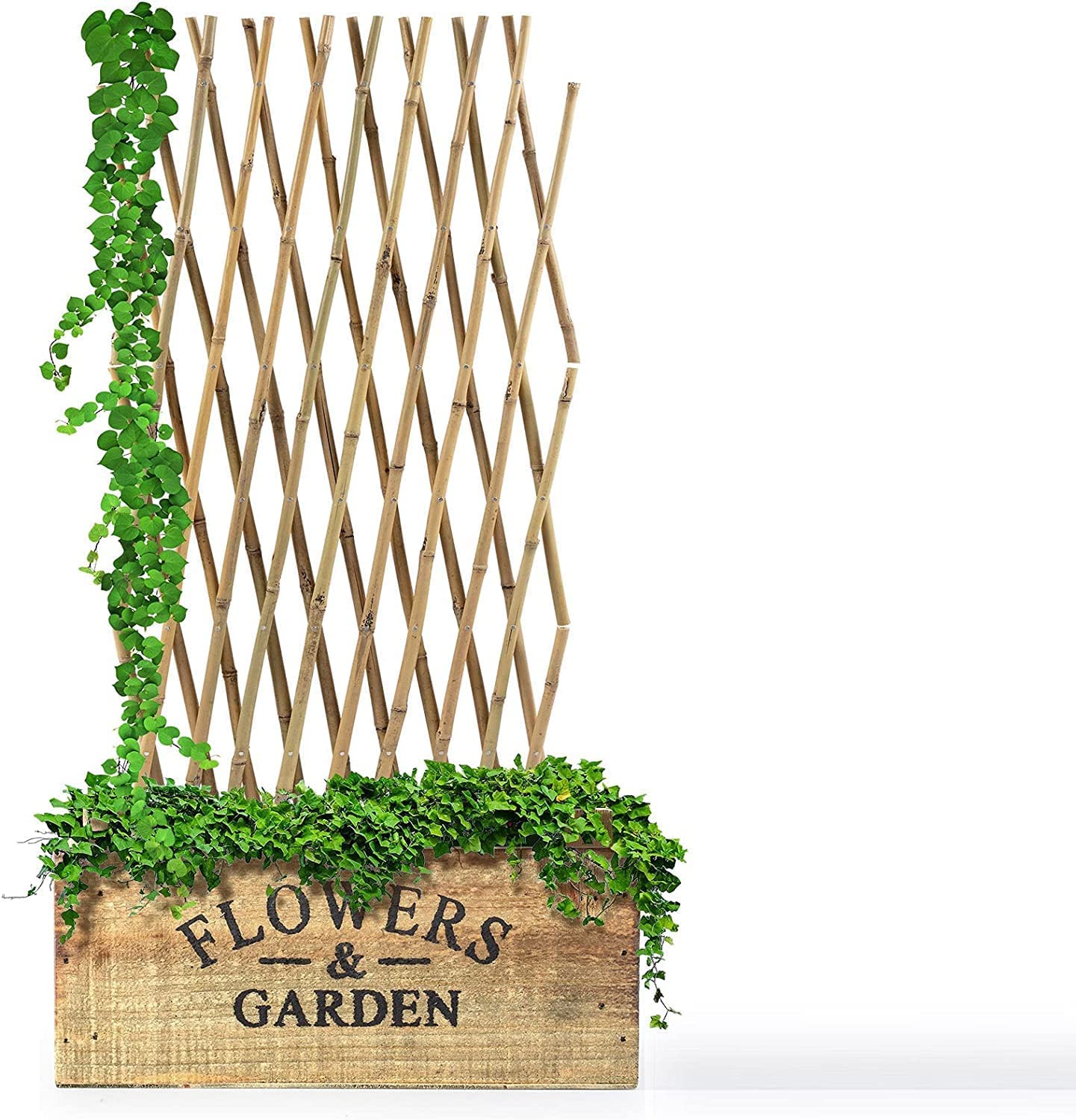 Treillis en Bambou pour Jardin, Balcon et terrasse Extensible Individuellement Résistant aux intempéries 60 x 180 cm - 3