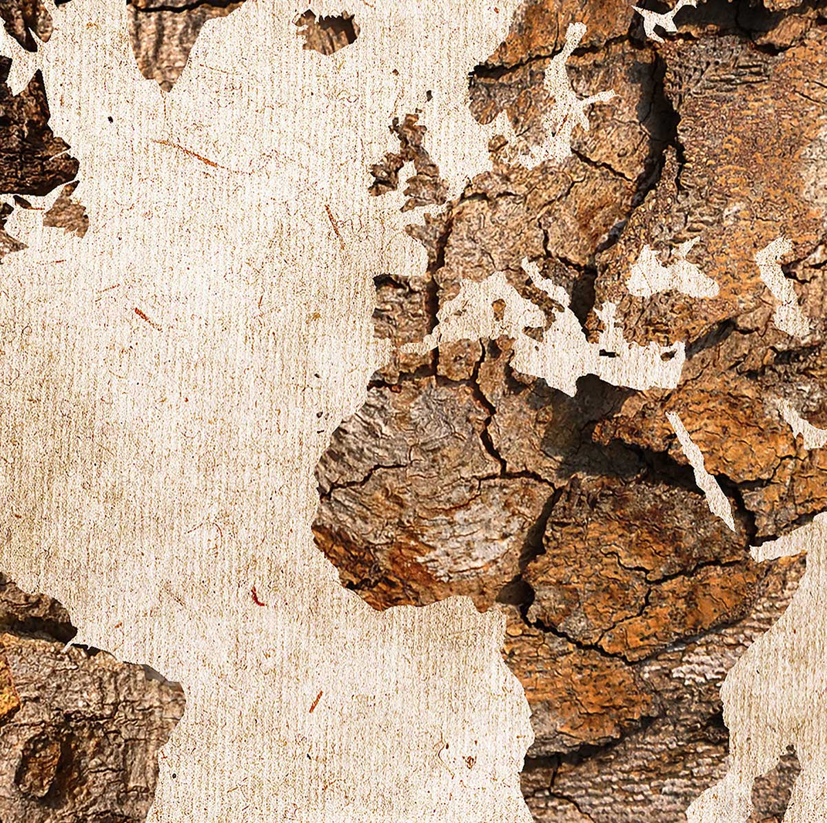 Poster mappa del mondo colore legno - 60x40cm - made in France - 3