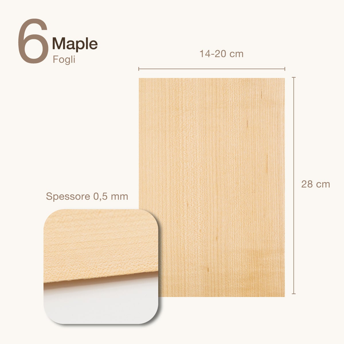 6 FOGLI DI IMPIALLACCIATURA IN LEGNO DI ACERO AMERICANO - 2