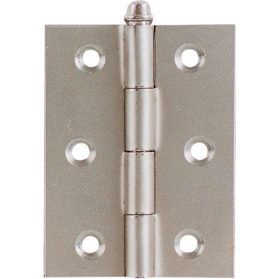 BL FER ZIN 96 CHARNIÈRE LOURDE 57X70 MM DE 2 | Leroy Merlin