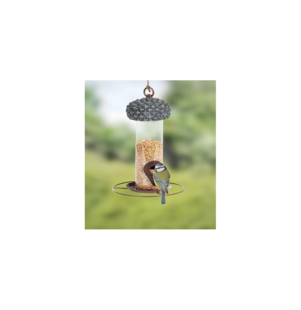 Mangeoire à Oiseaux En Métal Forme Gland - 18x14x14 Cm - Nourriture Vers De Farine & Graines