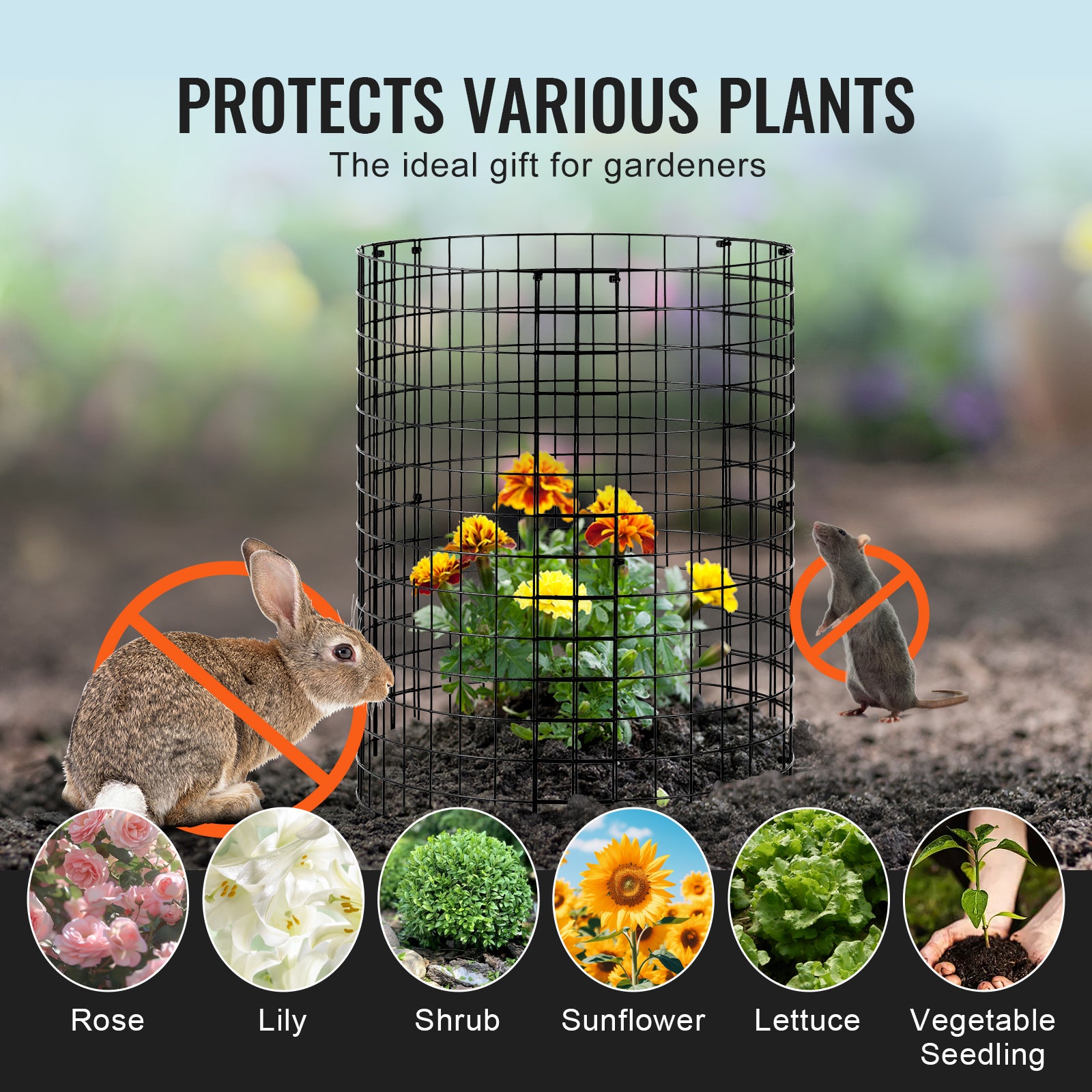 Lot de SucceBuy 6 cages grillagées pour plantes,32 cm de diamètre x 35,6 cm de hauteur,clôtures extérieures,garde les animaux à l'extérieur - 8