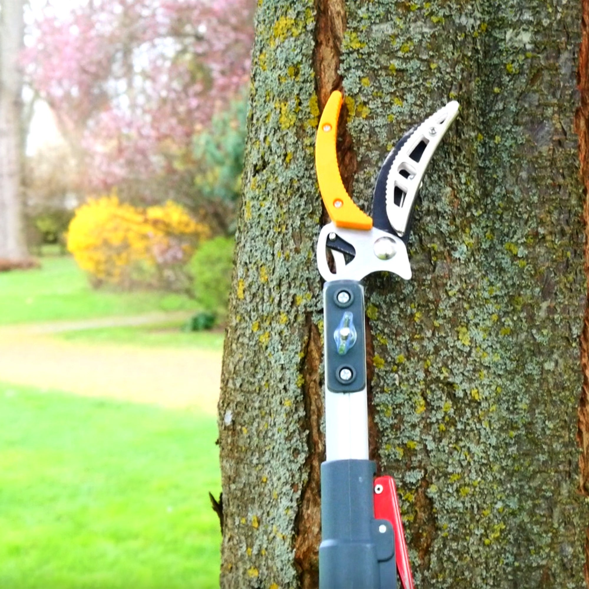 Sécateur Télescopique FISHTEC 1.37 À 2.2 m Avec Scie 30 cm 52 Dents Lame Acier Enclume De Préhension Manche Aluminium Portée 4 m Élagage Jardin - 6