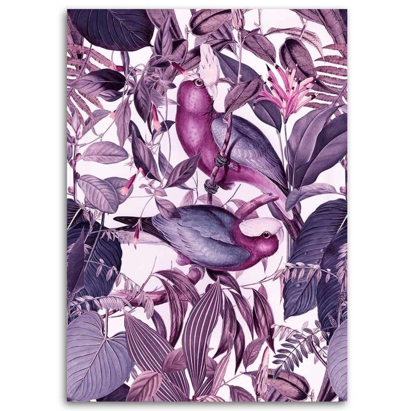 Tableau perroquets - 70 x 100 cm - 2