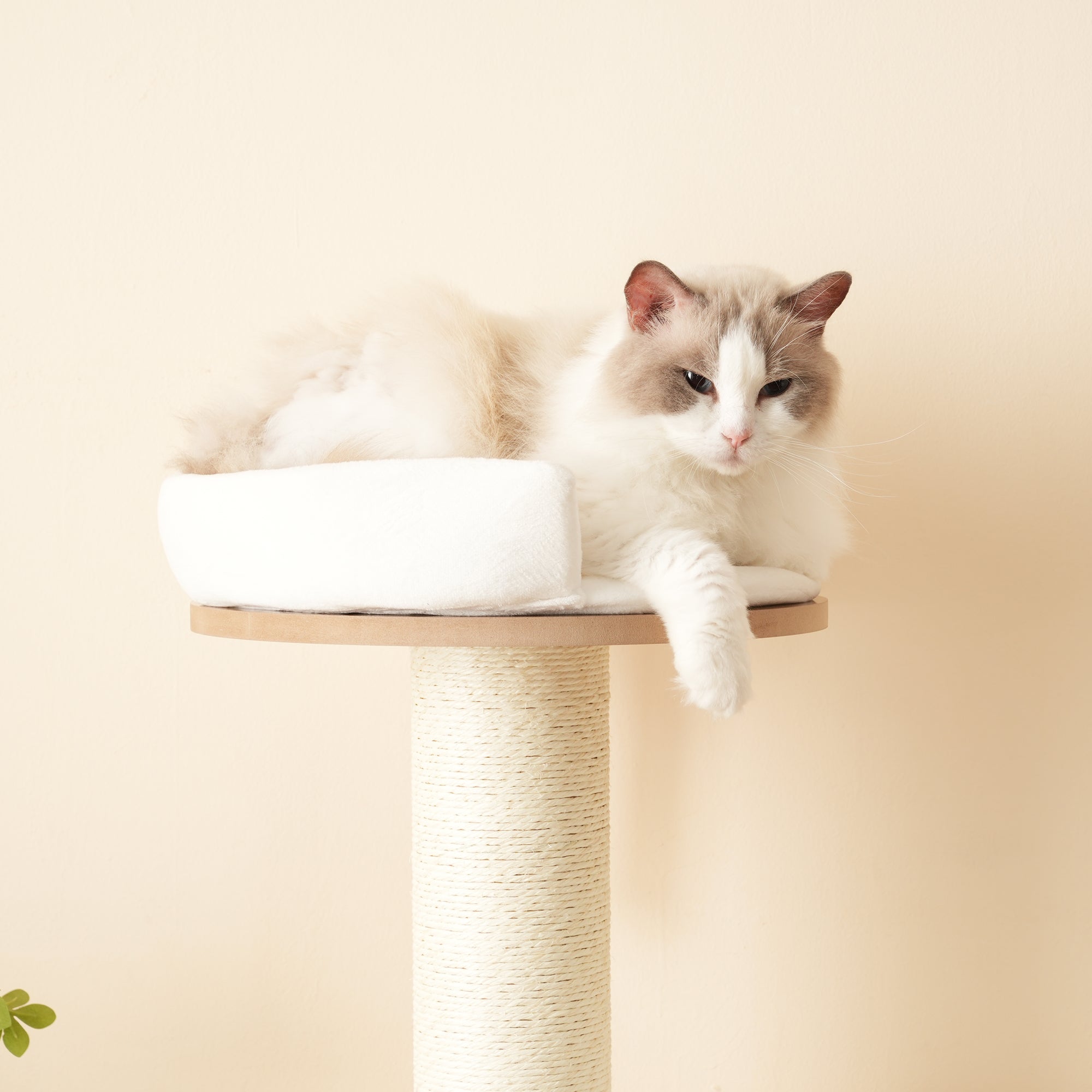 Arbre à chat avec 3 plateformes, 1 niche et coussins - 60 x 48 x 135 cm - Cadre en MDF - Marron - 4