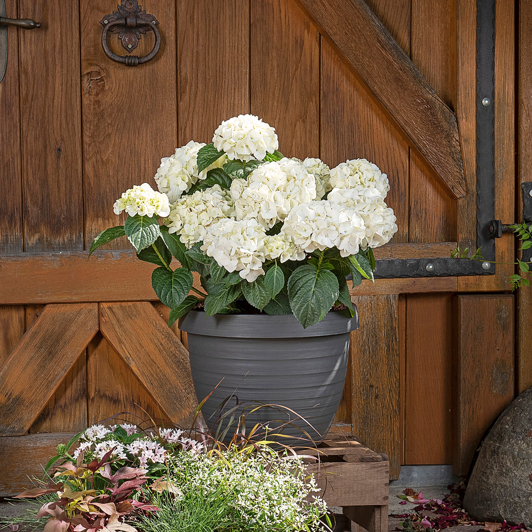 Scheurich Set de 3 pots à fleurs Country Star 40 avec soucoupes, en plastique coloris: Metallic Grey, 39 cm de diamètre, 30 cm de hauteur, 21,5 l vol. - 4