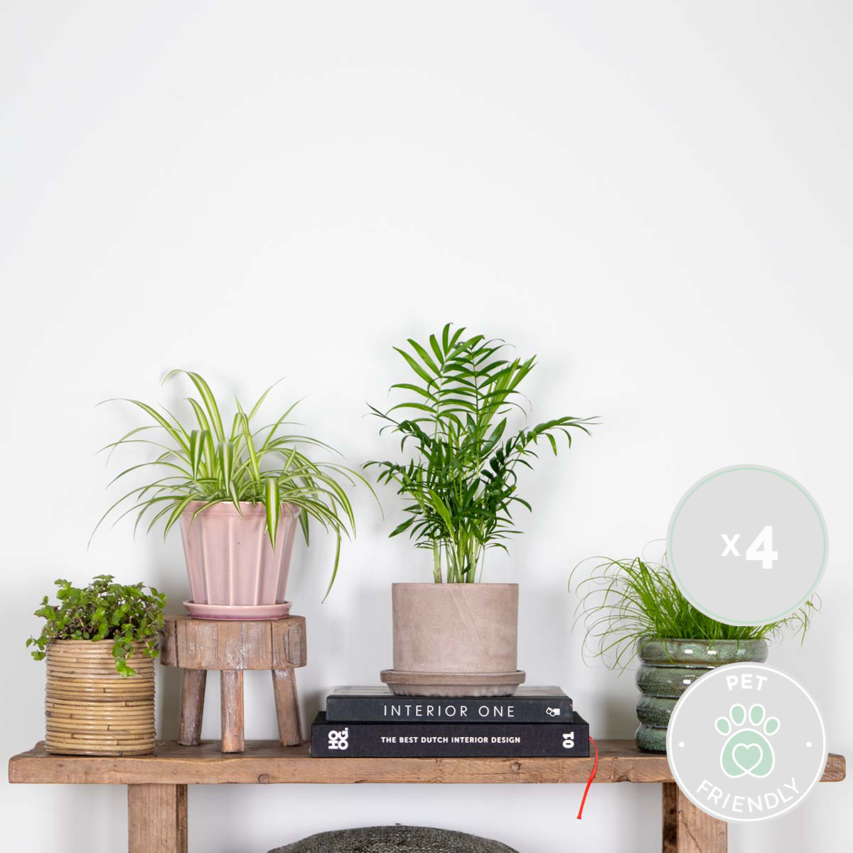 Lot de 4 - Mélange sans danger pour les animaux - H. 20-40 cm - P. 12 cm - 2