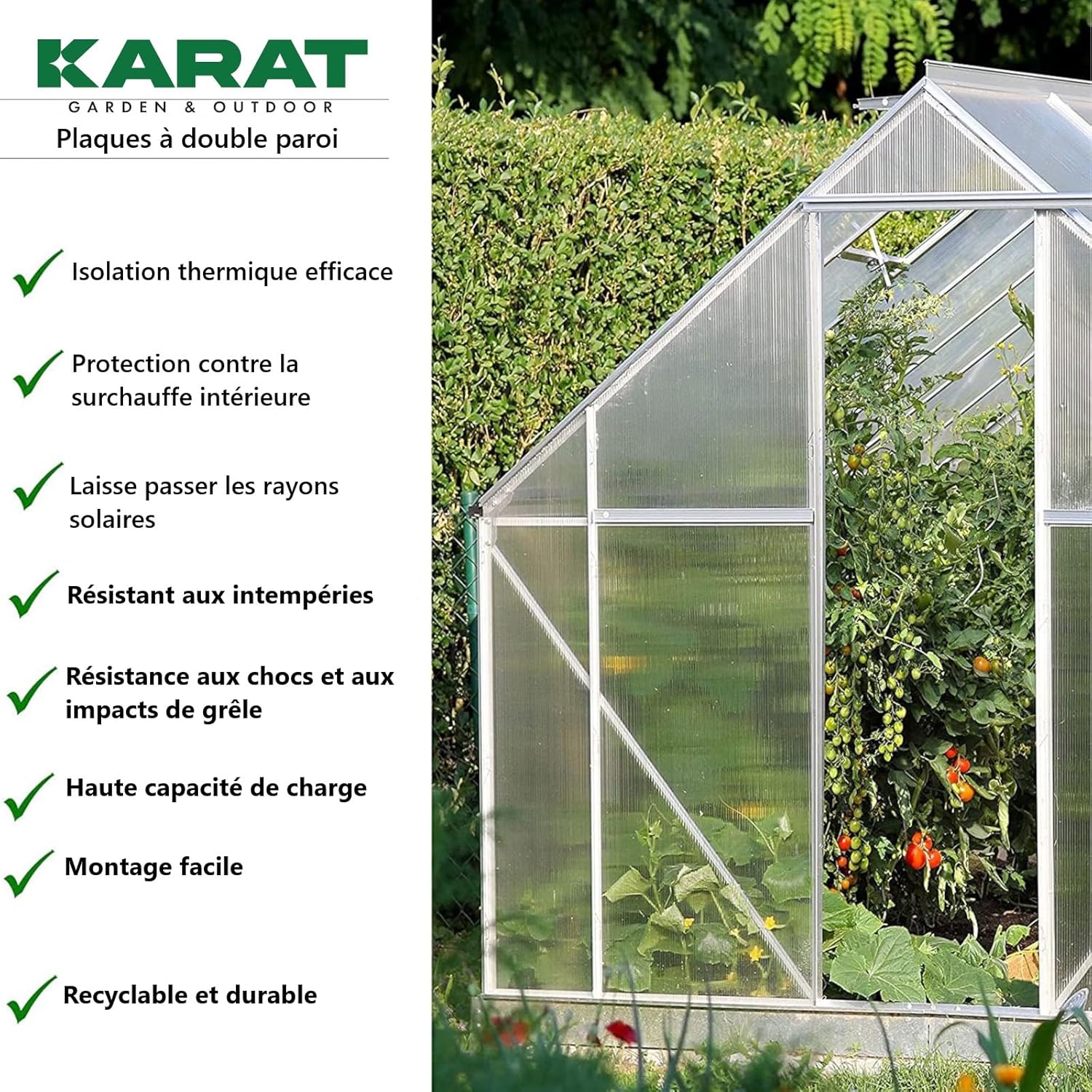 Panneau alvéolaire Serre de jardin 60,5 x 121 cm Ep = 4 mm - 5