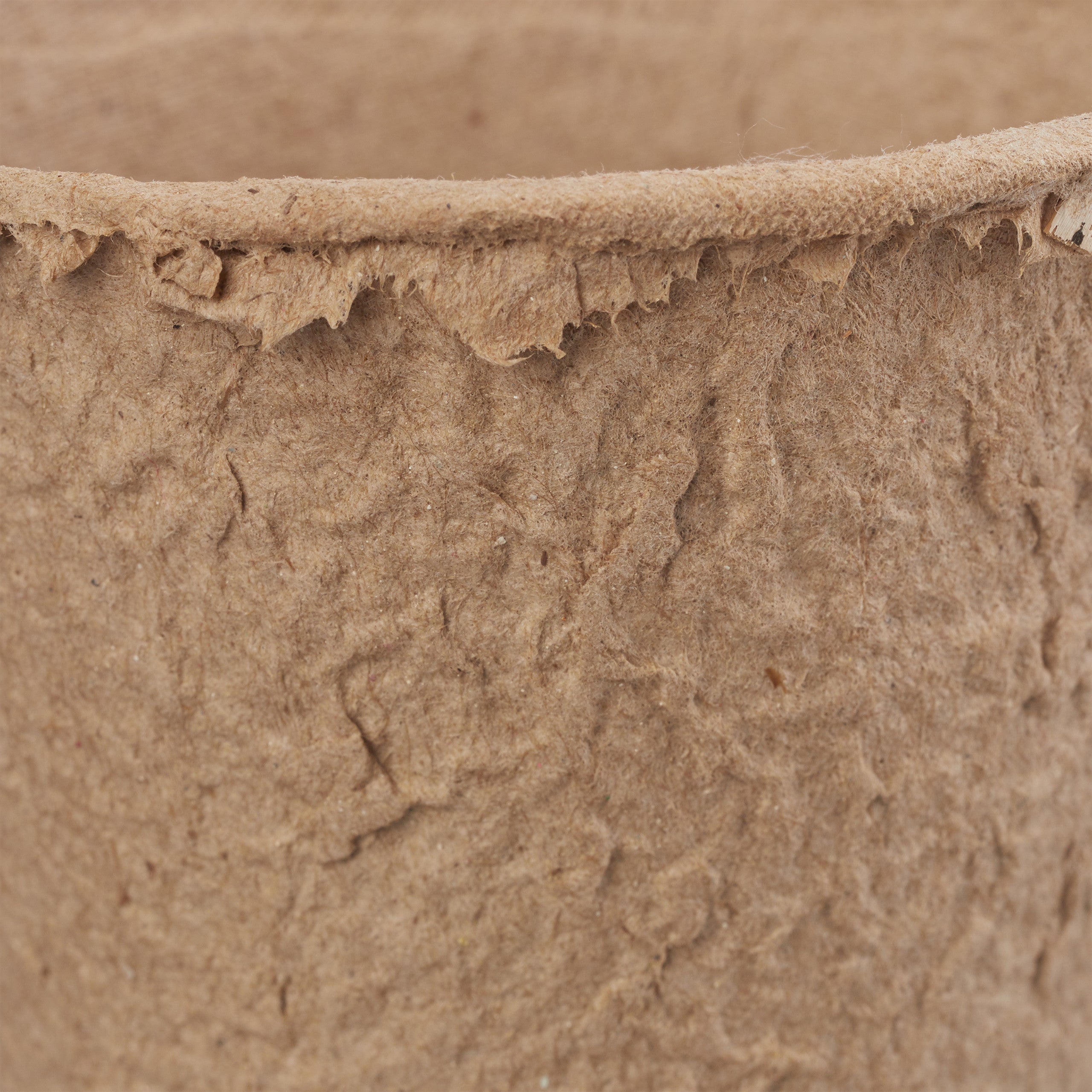 pot jardinage en set, pour plantes, rond, 80 pièces, cellulose, diamètre : 6 cm, beige, Relaxdays - 6