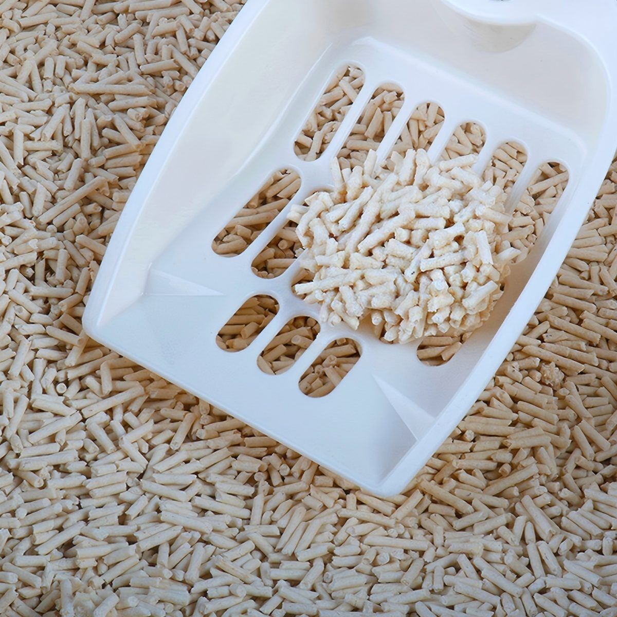 TopMeow Arena Gatti 4,6 kg Crema Assorbente Naturale 4 Pezzi - 4