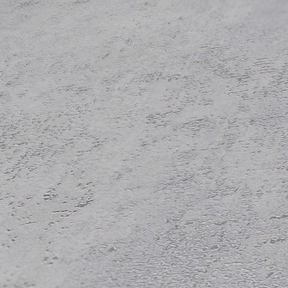 Gris / plata