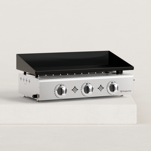 Plancha Acier Inox 28x20 Cm + Spatule – Plaque Cuisson BBQ Gaz/Charbon, Légumes, Viande, Crêpes