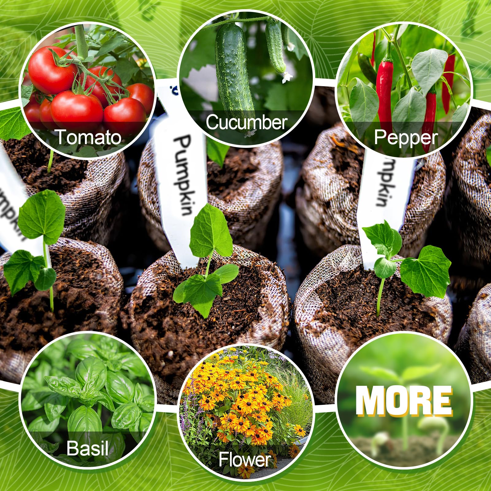 50 Boue de semis, 5 cm d'engrais nutritif comprimé, bouchons de démarrage de plantes en fibres, terreau nutritif pour la transplantation - 9