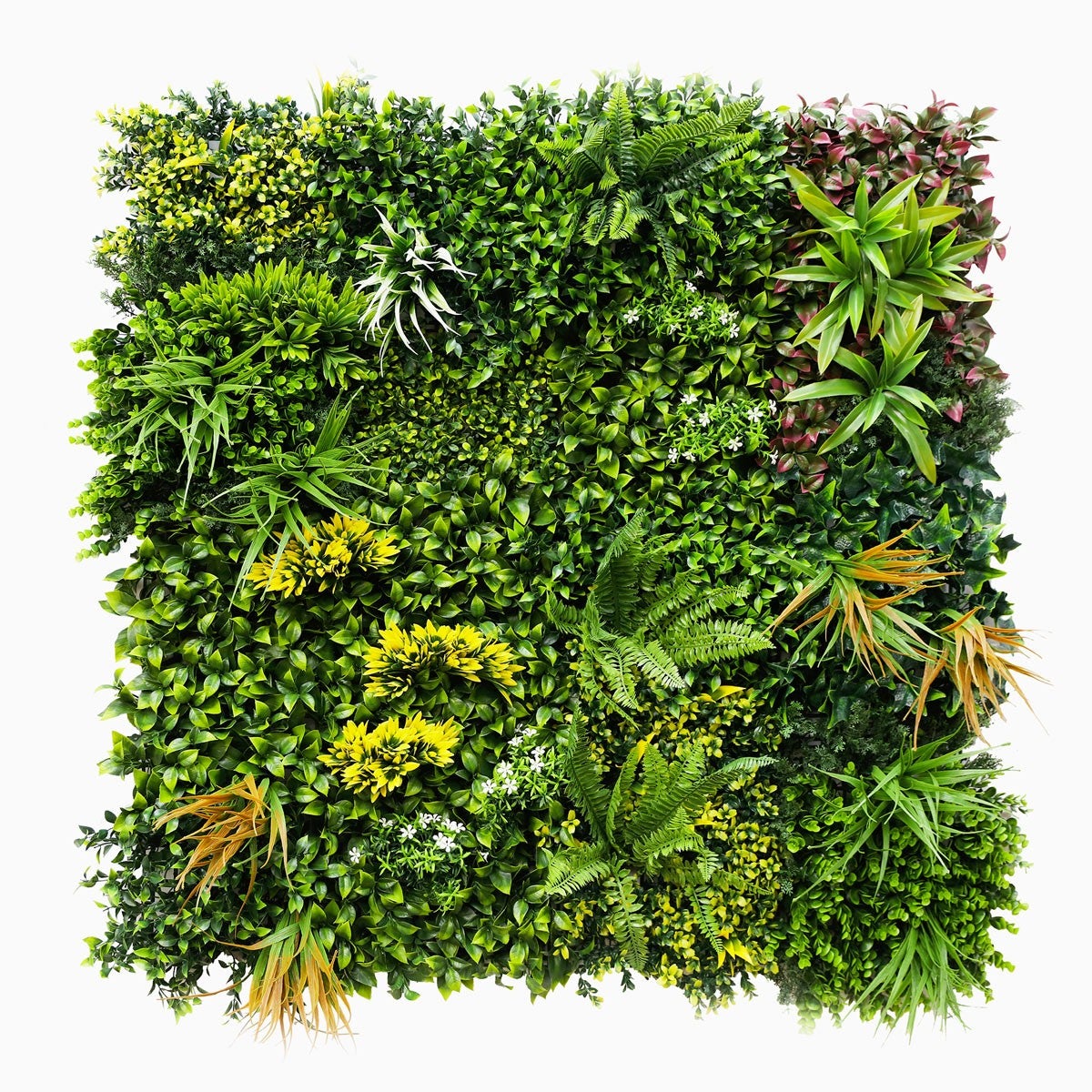 Mur végétal artificiel Jungle 1 × 1 m – un décor végétal pour balcon et clôture - 5