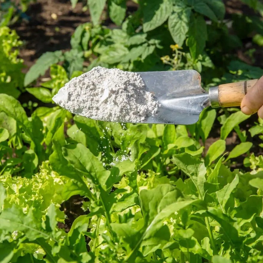 Terra Di Diatomea Pura 100% Per Animali – 20 Kg, Controllo Naturale Di Pulci E Acari, Igiene Per Stalle E Lettiere