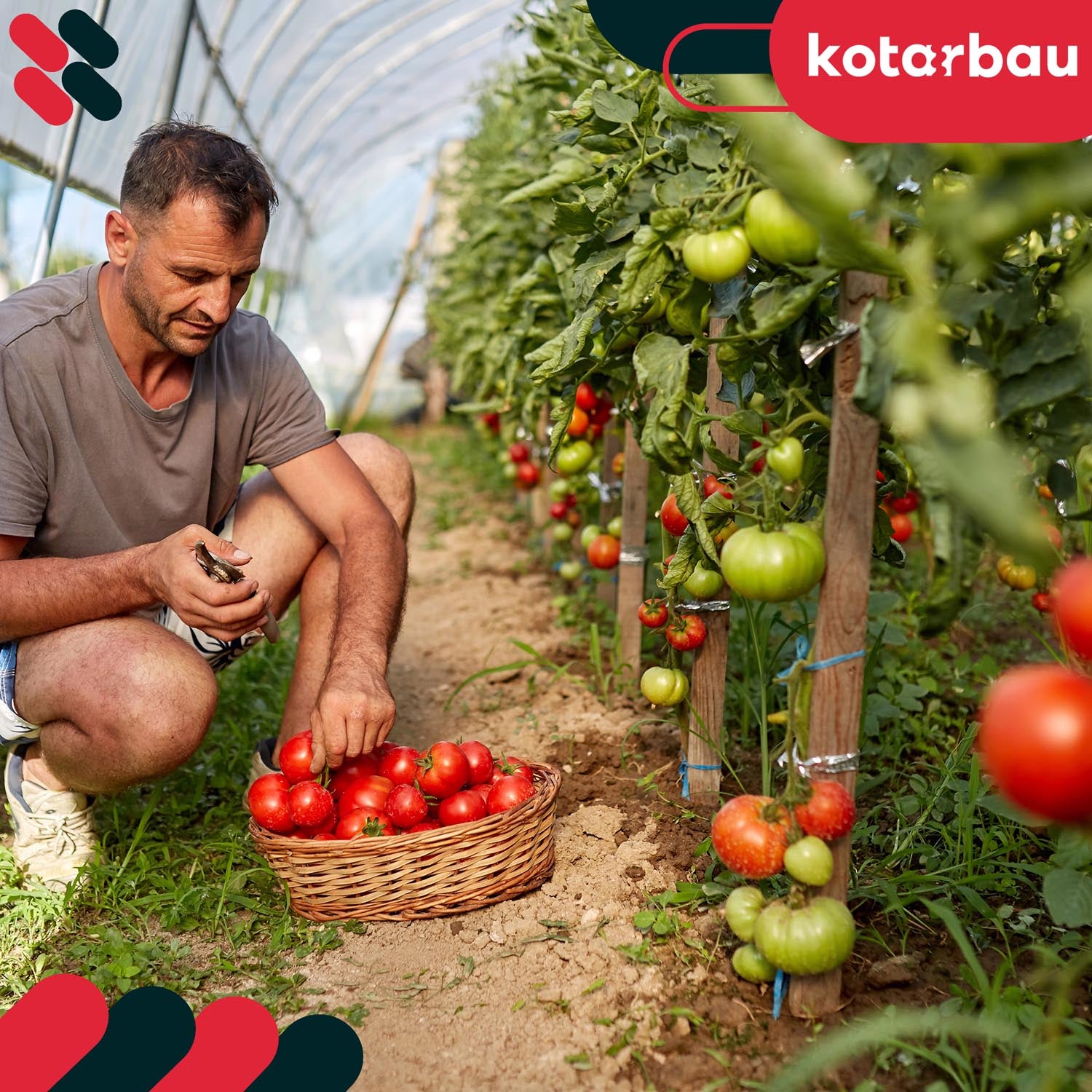 Tuteurs à tomates en bois KOTARBAU® pour potagers, tuteurs pour arbres et arbustes 40 cm, lot de 15 - 4