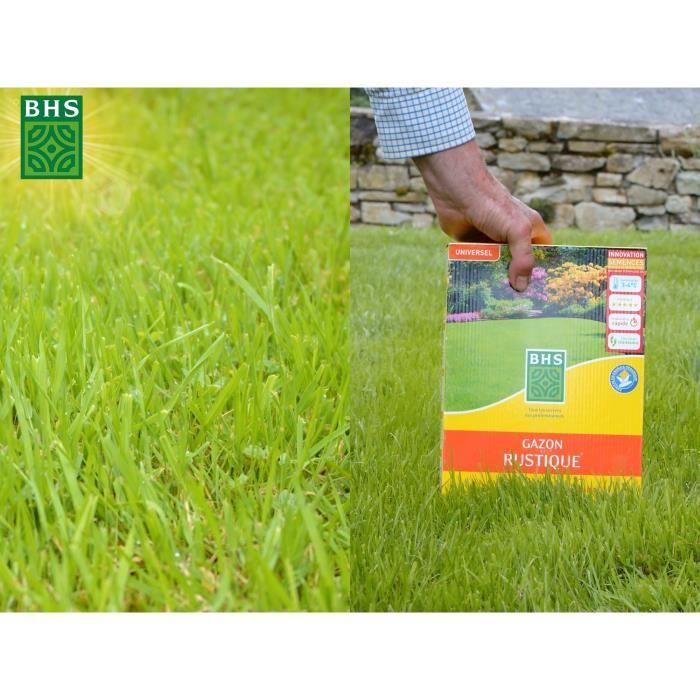 Graines de gazon rustique BHS - 4