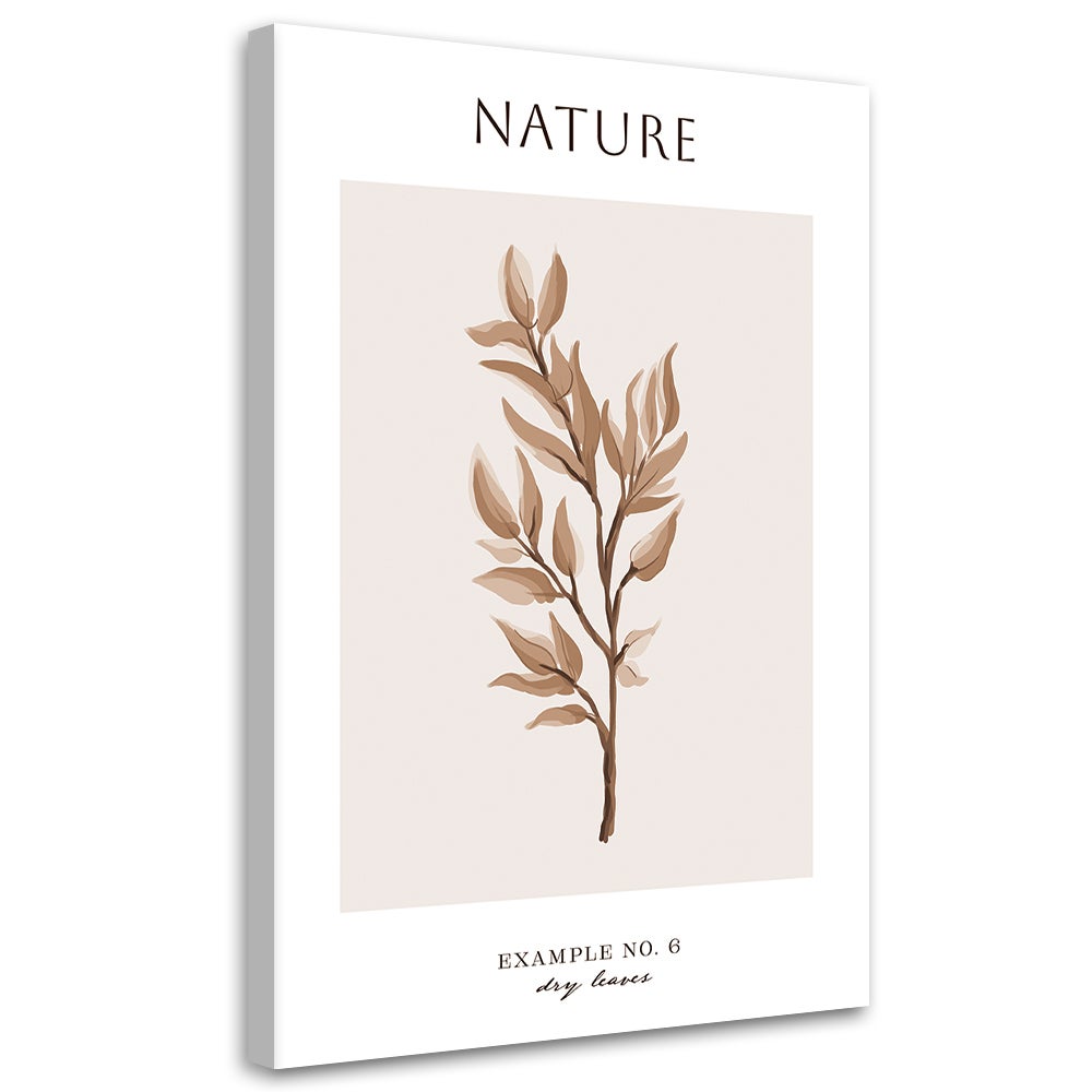 Obraz na płótnie, Suche liście - Natura 60x90