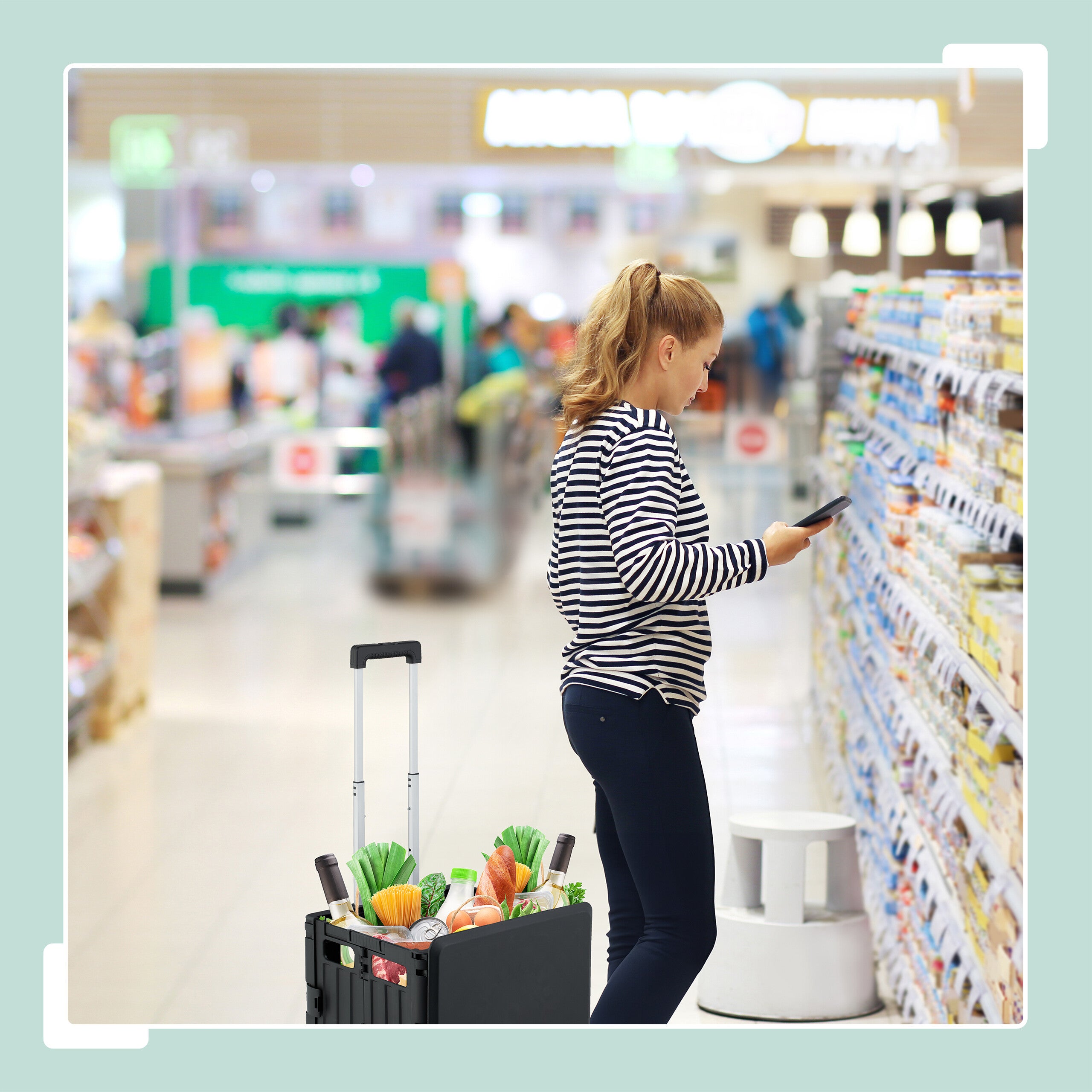 Relaxdays Chariot de courses avec couvercle, caisse pliable à