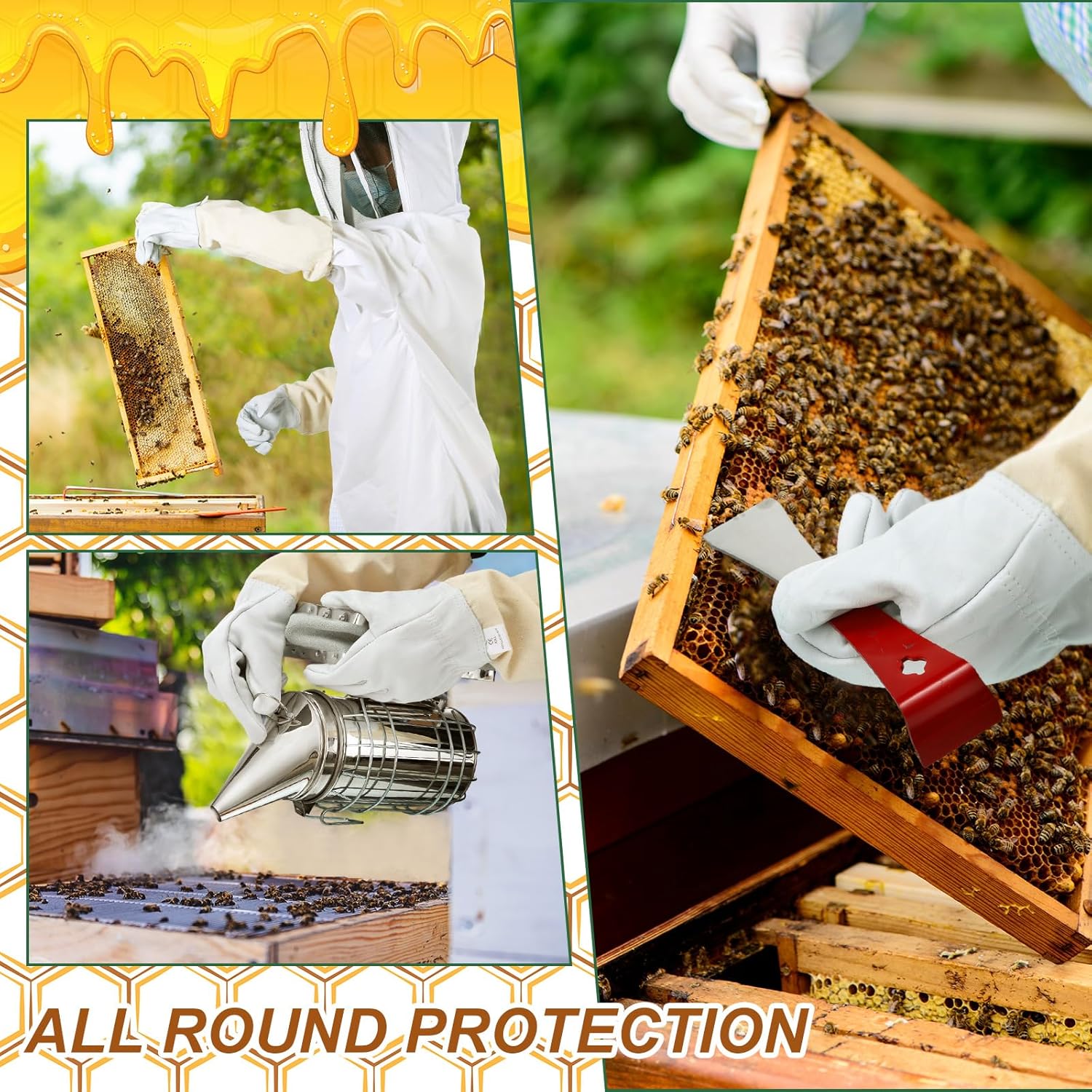 30 Pièces de Fournitures Apicoles Équipement de Ruche Kit de Démarrage pour Apiculture Fournitures pour Débutants et Apiculteurs Professionnels - 5