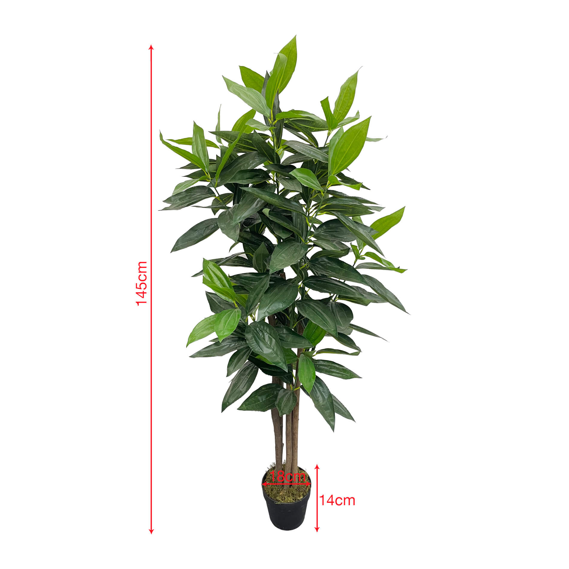 Planta artificial de Casia Rebecca Mobili Kori 145x40x40 PEVA Madera Verde Marrón - 3