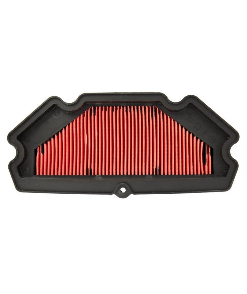Filtro Dell'aria Originale Briggs & Stratton 593260