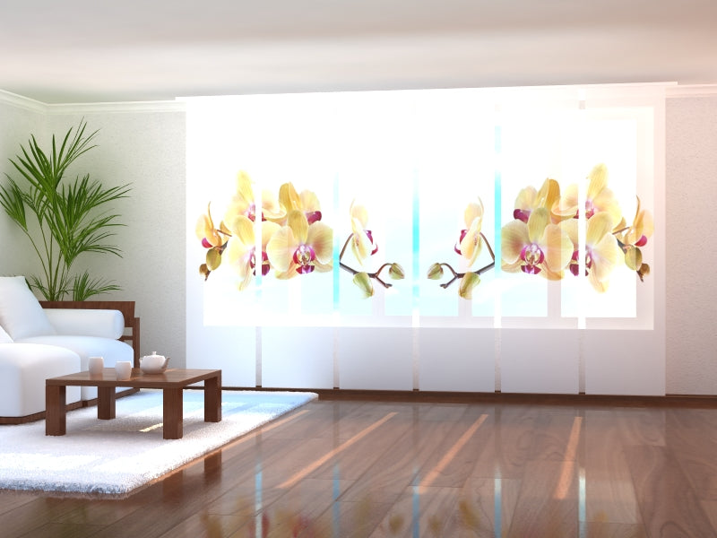 Cortinas de paneles correderos: set de 6 paneles japoneses 60x245 cm + kit de fijación a techo (riel y carros) - tejido semifiltrante.