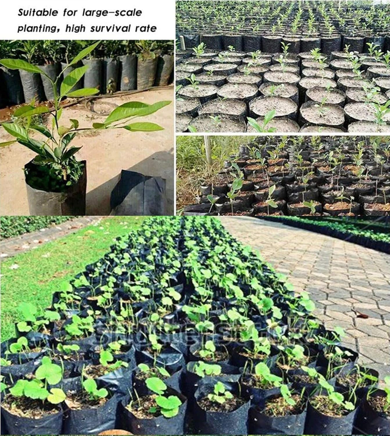 100 Sacos de Plástico Reforçado para Viveiro - 25x30cm (diâmetro x altura) Sacos de Cultivo para Plantas de Jardim com Orifícios de Ventilação - 4