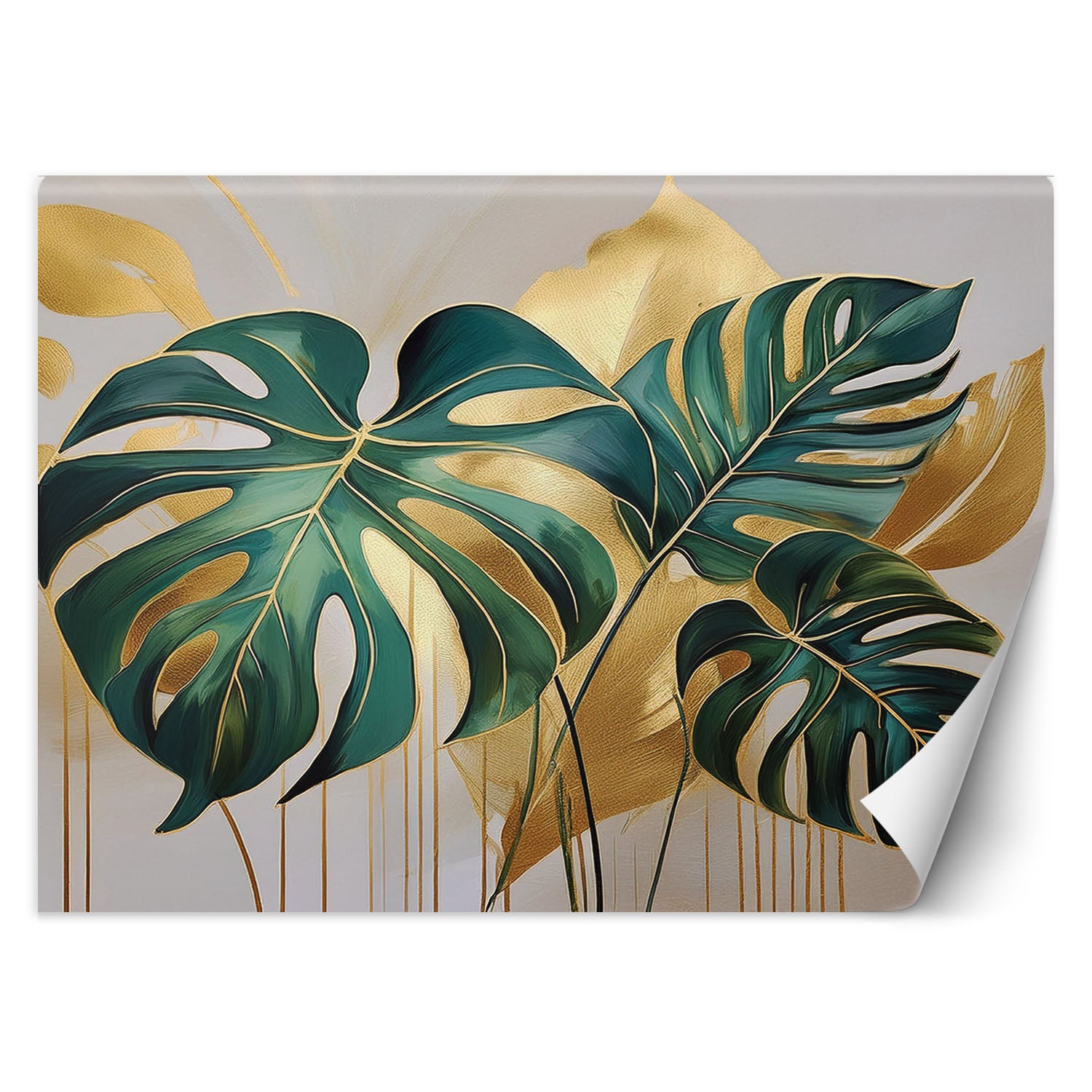 Fototapeta, Tropikalne Liście Monstera 250x175
