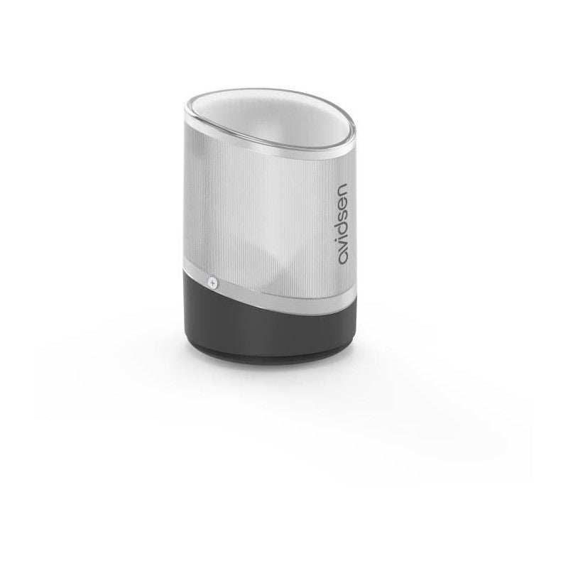 Motorisation télescopique pour portail à battants - Styrka 310 - Avidsen - 114170 - 6